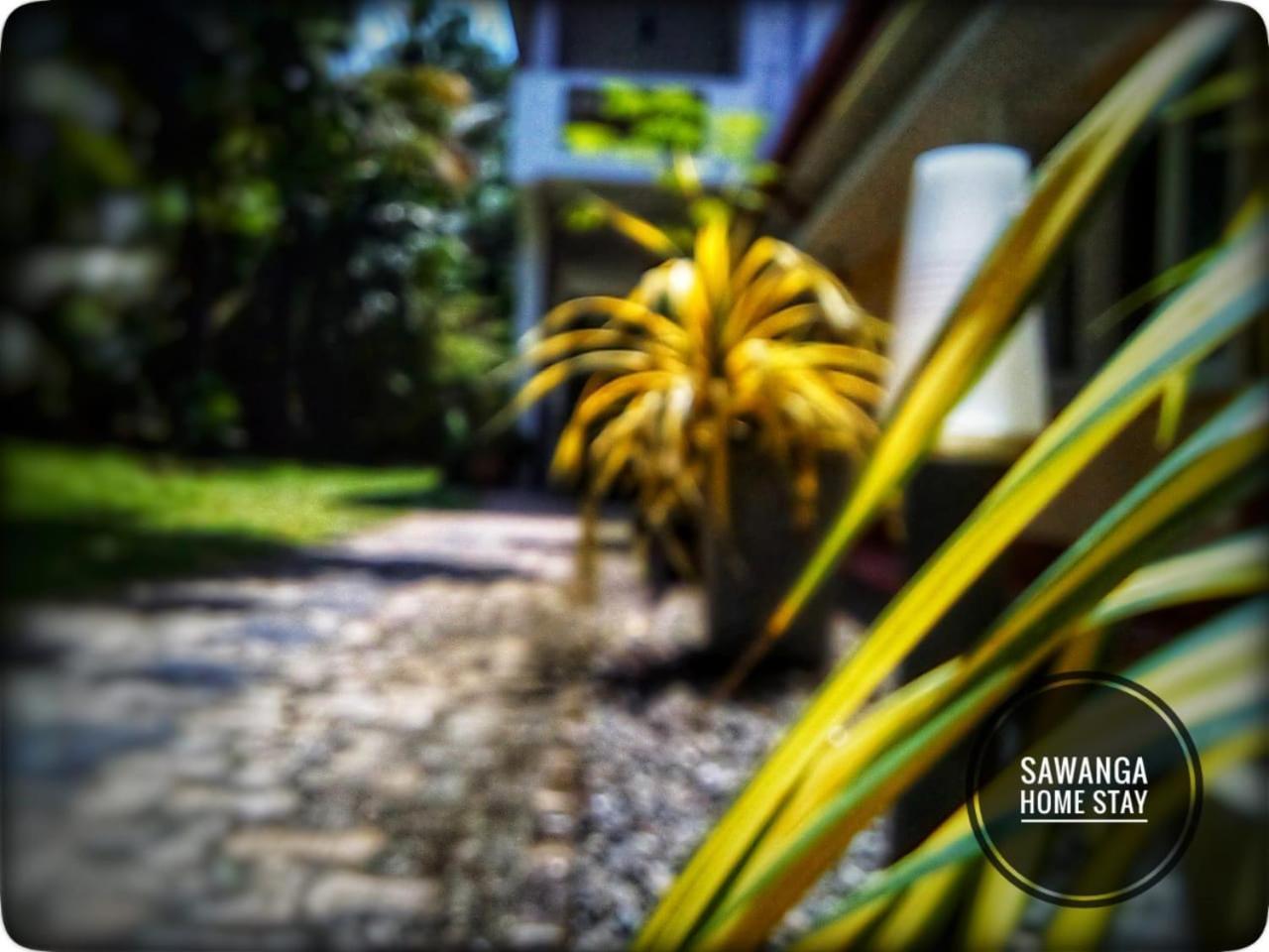 Sawanga Home Stay Велігама Екстер'єр фото